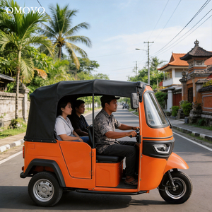 รถสามล้อรับจ้าง 3 ที่นั่ง รับน้ำหนักได้ 100-200 กก. แบตเตอรี่ตะกั่ว-กรด 48V โครงเหล็ก 200-250W ตัวถังปิด 5000W - Product Image 6
