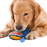 Jouet à mâcher en peluche en forme de biscuit, sonore, qui couine pour chiot, jeu interactif pour animaux de compagnie