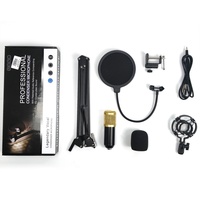 Équipement de diffusion en direct de podcast, microphone à condensateur professionnel MIC BM 800, micro avec carte son V8, support de bras