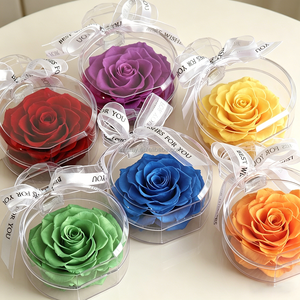 Elegante <span class=keywords><strong>Rosa</strong></span> Eterna <span class=keywords><strong>in</strong></span> <span class=keywords><strong>Vaso</strong></span> Acrilico, Ideale per Decorazioni da Tavolo per Matrimoni, Addio al Nubilato, Feste di Fidanzamento, Regalo per Fidanzata, San Valentino - Product Image 1