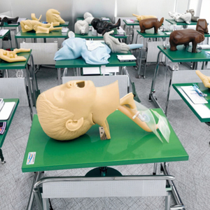 <span class=keywords><strong>แบบ</strong></span>จำลองการฝึกใส่ท่อช่วยหายใจสำหรับเด็กที่มีความเที่ยงตรงสูง PVC ขั้นสูงแบบจำลองการใส่ท่อช่วยหายใจสำหรับวิทยาศาสตร์การแพทย์ฉุกเฉิน - Product Image 5