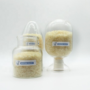 Poudre <span class=keywords><strong>de</strong></span> gélatine <span class=keywords><strong>de</strong></span> qualité alimentaire pour yaourt <span class=keywords><strong>et</strong></span> <span class=keywords><strong>sorbet</strong></span> glacé - Product Image 1