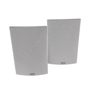 Tonmind Network pa speaker box high fidelity 30w conference wall mount Speaker