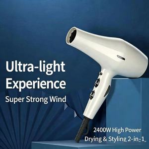 <b>Cheap</b> 2400W Electric AC Motor Ionic Foldable Compact 3-Speed Professional Salon Hotel Outdoor Hair Dryer Concentrator <b>Diffuser</b> - Product Image 3
