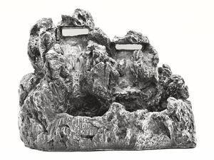 Aquarium Aquarium Met Wit Zand Aquarium Aquarium Aquarium Aquarium Aquarium Aquarium - Product Image 6