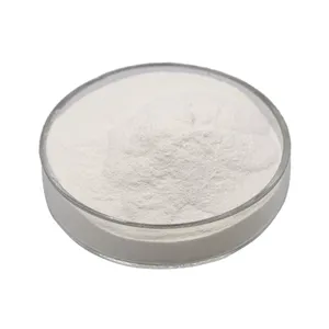 100% Pure And Natural Food Grade Apple Extract Powder