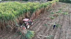 Hot Sale 70 Tractor Drive Combine Harvester Mini <b>Cutter</b> <b>Machine</b> Tractor Power 70hp-100hp for Efficient Sugarcan - Product Image 3