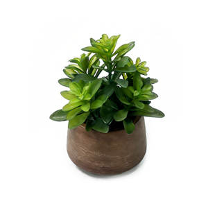 Plante succulente artificielle en <span class=keywords><strong>laurier</strong></span> dans un pot en papier mâché, plante en faux jade, faux bonsaï succulent pour la décoration moderne de la maison et du bureau - Product Image 2