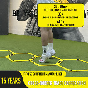 معدات رياضية عملية لكرة القدم من رايزنج فيتنس، قابلة للطي والحمل، للتدريب على السرعة وخفة الحركة، الأكثر مبيعًا - Product Image 5