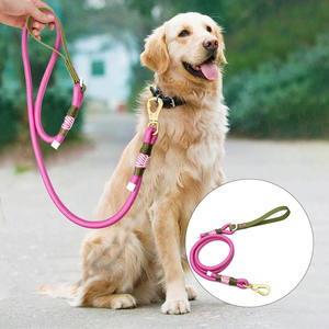 Correa de Perro de Lujo Personalizada, Resistente y Sólida, Cuerda de Nailon Personalizada, Correa Duradera para Mascotas con Mango Suave de PVC - Product Image 1