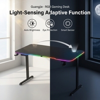 Escritorio Gaming Metálico al por Mayor de Fábrica con Luces LED RGB, Diseño Extensible, Estación de Trabajo Ergonómica para Gamers, Estilo Refrigerado