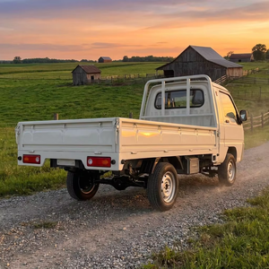 Pickup Elettrico Mini Cargo Personalizzato da Fabbrica 10KW, Motore 4000W, Autonomia 240km, Consegna SKD, Logo Personalizzato, Scatola Colorata, <span class=keywords><strong>Dimensioni</strong></span> 1 - Product Image 1