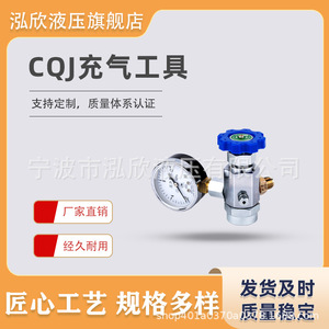 Hongxin Nitrogen Charging <b>Tool</b> 25-40Mpa For <b>Shearing</b> Machines Hydraulic Accumulator - Product Image 5