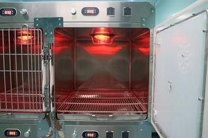 Veteriner kullanımı için elektrikli kızılötesi ısı yalıtımı oksijen kabin kafesi köpekler/kediler için paslanmaz çelik çerçeve taşıyıcı ve evler - Product Image 4