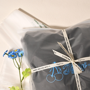 Sáng Tạo Frosted Dây Kéo Túi Poly Tùy Chỉnh Frosted Zip Con Dấu Túi Bao Bì Nhựa Cho Quần Áo Đồ Lót T-Shirt Dây Kéo Túi - Product Image 5