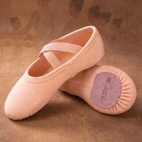 Chaussons de ballet à semelle souple et très extensible pour femmes, chaussons de ballet professionnels légers pour la pratique de la danse