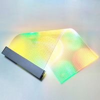 Para instalación de vidrio Pantalla de película publicitaria Película LED transparente Pantalla LED de vidrio transparente suave Módulo de pantalla LED Flexible