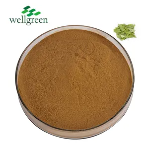 Wellgreen Senna Leaf Extract Lose Weight Senna Leaves Extract Powder 5%-60% Sennosides