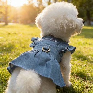 Summer Thin Denim <b>Princess</b> Dress For Small Dogs Teddy Breathable Spring Summer Skirt Lace Trim Pet <b>Clothes</b> - Product Image 3