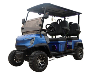 Xe điện LSV 2 chỗ ngồi, thiết kế tùy chỉnh, pin Lithium, mâm hợp kim, lốp đường phố, dành cho giao hàng tại kho - Product Image 1