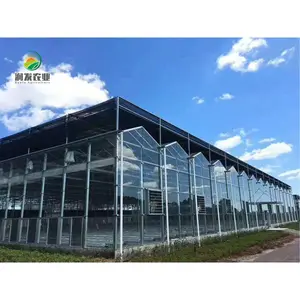 Intelligent multi-Span Glass Greenhouse Equipped With Floating Plate Cultivation System For Sale