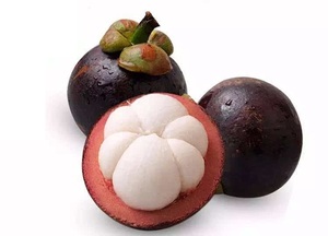 Nhà Máy Giá mangostin bột <span class=keywords><strong>Alpha</strong></span> mangostin măng cụt vỏ chiết xuất - Product Image 5