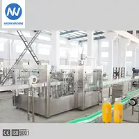 Fruit Juice Processing Filling Machine