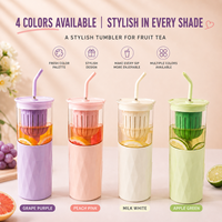 Gobelet infuseur à thé en acier inoxydable 304 avec paille, filtre amovible, anti-fuite, double paroi isolée, pour thé aux fruits, tasse de voyage