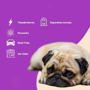 Integratore per Animali Domestici a Marchio Privato per Ridurre Ansia, Stress e Iperattività, Compresse per il Benessere di Tutte le Razze - Product Image 3