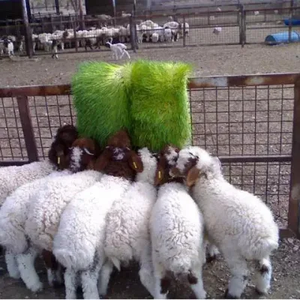 Manufacturers China Wholesale Hydroponics Hydroponics <strong>Fodder</strong> System - Product Image 2