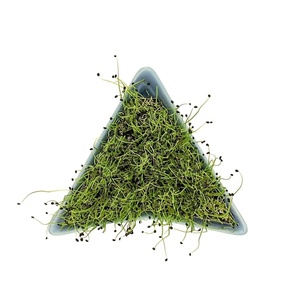 Kit de Germinación de Microgreens Duradero con Orificios de Drenaje, Fibra Vegetal Azul Ecológica de Alta Calidad para Bandejas - Product Image 1