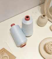 Filament de nylon DTY 100% 70D/24F, teint en bobine, anti-boulochage et anti-bactérien, torsion Z, pour tricot à la main et couture de chaussettes