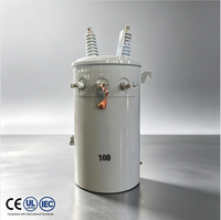 Transformador Monofásico Sumergido en Aceite Serie D11 de 25KVA, Transformador de Distribución de Alta Tensión para Montaje en Poste, de Fábrica