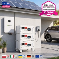 Batterie LiFePO4 de qualité supérieure 51,2 V 300 Ah 15,36 kWh pour rack de serveur, batterie lithium à décharge profonde pour système de stockage solaire domestique et de secours