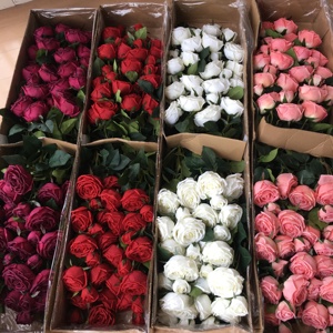 J-12201 fiori artificiali di alta qualità veri tocco petali di rosa dipinti a mano vero tocco rosa rosa rosso reale Rose - Product Image 2