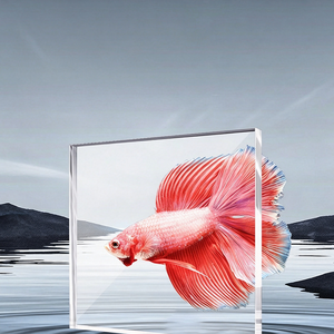 Aquarium Écologique Ultra-Clair Native Stream - Filtre Latéral Personnalisé pour Salon - Product Image 6