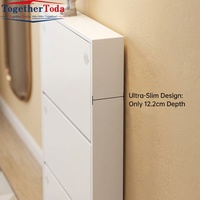 Meuble à chaussures moderne en acier écologique, grande capacité de rangement, ultra-fin, avec couvercle rabattable, pour l'entrée de la maison