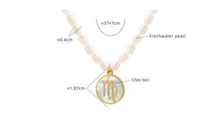 Horoscope <span class=keywords><strong>Astrologie</strong></span> 12 Zodiaque Collier Étanche 18 K Plaqué Or Bijoux Acier Inoxydable Zodiaque Bijoux pour Femmes - Product Image 5
