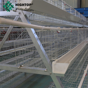 Calidad de fábrica los huevos de las gallinas ponedoras usando para jaula de pollo avícoles la agricultura en Pakistán - Product Image 3