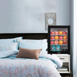 Réfrigérateur d'hôtel <span class=keywords><strong>Peltier</strong></span> de haute qualité 30 litres/<span class=keywords><strong>mini</strong></span> réfrigérateur thermoélectrique/<span class=keywords><strong>mini</strong></span>-réfrigérateur à semi-conducteur - Product Image 2