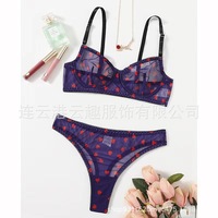 Nouvel ensemble de lingerie sexy blanc transparent avec soutien-gorge push-up en maille brodée cœur et détails transparents - Pour le commerce international