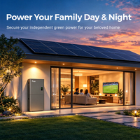 Batterie LiFePO4 homologuée UL9540A 16,07 kWh 48 V 51,2 V 314 Ah, pack de batteries avec sortie 8 kW, alternative au système de stockage d'énergie solaire (ESS) sur pied