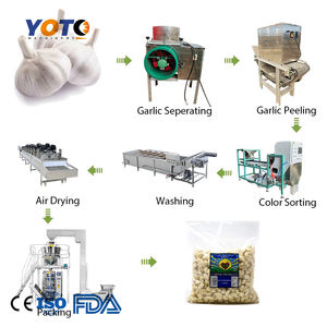 Procesador Automático de Clasificación y Pelado de Ajo, Marca Plant-Hadof, Larga Vida Útil, 6 Meses de Garantía - Product Image 5