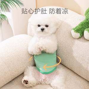 National Pet <b>Dog</b> Physiological Pants Green Dinosaur Fall Anti Harassment Menstrual Pants <b>Clothes</b> - Product Image 1