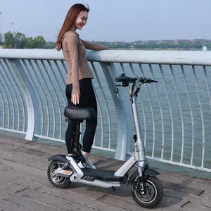 2024 New design fast speed adults 1000W 48V 20Ah battery stand up electric scooter