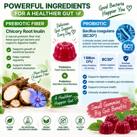 Gummies de fibres prébiotiques, Gummies probiotiques, Complément alimentaire pour la santé digestive, Sans sucre, Végétalien, Marque privée, Vente en gros