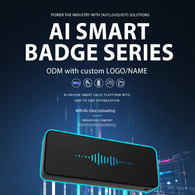 Smart Audio Recording Voice Data Collection Transcription AI Sales Quality Inspection Meeting Minutes for Portable /Wi-Fi