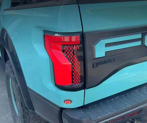 Feux arrière LED AURON F150 2015-2020, lentille transparente, nouvelle version améliorée, feux de jour, plug and play, étanches - Product Image 5