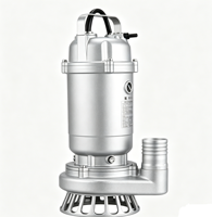 Pompe submersible pour eaux usées WQD-S de petite puissance 0,25 kW en acier inoxydable 304, 220 V monophasé, avec raccord fileté, résistante à la corrosion, longue durée de vie