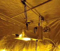 Lámparas de Cultivo HPS Risen Green Brand con 3 Años de Garantía, 1000w, IP65, Aluminio, para Floración, 120-240v, para Invernadero con Balastro Electrónico